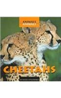 Cheetahs (Animals, Animals) by Diana Estigarribia
