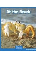 At the Beach (Wonder Readers: Science) by Maryellen Gregoire