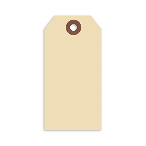 Algopix Similar Product 2 - Merangue 1000 Pack Shipping Tags Sz4