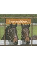 Thoroughbreds by Pamela Dell