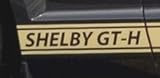 Hertz Mustang GT-H Gold Rocker Panel/Door Stripes