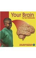 Your Brain (Bridgestone Science Library) by Terri
