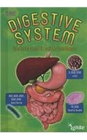 Your Digestive System: Understand It with Numbers by Melanie Waldron