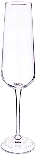 Algopix Similar Product 7 - Circleware 44604 Concerto Champagne
