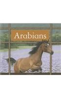 Arabians by Pamela Dell