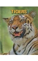Tigers