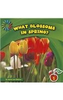 What Blossoms in Spring? by Jenna Lee Gleisner