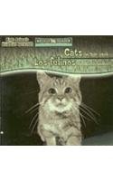 Cats Are Night Animals/Los Felinos Son Animales Nocturnos by Joanne Mattern