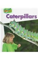 Caterpillars (Minipets)