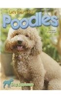 Let's Hear It for Poodles by Piper Welsh