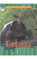 Tortoises (Animals of the Rain Forest) by Chuck Miller