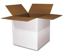 

The Packaging Wholesalers Shipping Boxes, 4 x 4 x 4 Inches, White, 25-Count (BS040404W)