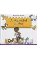 A Pocketful of Pets: A Search-And-Count Adventure by Jane Belk Moncure