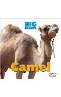 Camel by Stephanie Turnbull