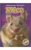Mice