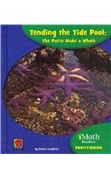 Tending the Tide Pool: The Parts Make a Whole