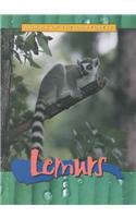 Lemurs (Animals of the Rain Forest)