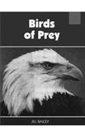 Birds of Prey (Nature Watch (Facts on File))