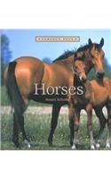 Horses (Perfect Pets) by Susan Schafer