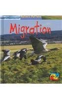 Migration (Heinemann First Library)