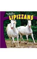 Lipizzans (The World of Horses)