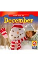 December (Months of the Year)