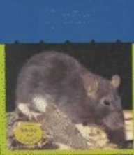Rats by Patricia Whitehouse