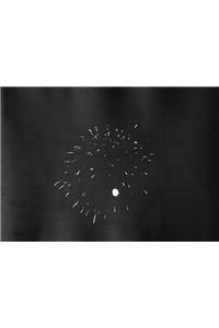Ross Bleckner Photographs by Jack Woody