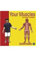 Your Muscles (Bridgestone Science Library: Your Body) by Anne
