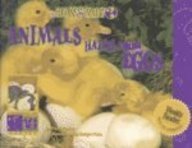 Animals Hatch from Eggs (How & Why) by Elaine Pascoe