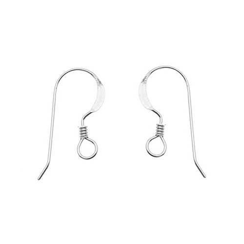 Algopix Similar Product 2 - Beadaholique Earring Hooks French Wire