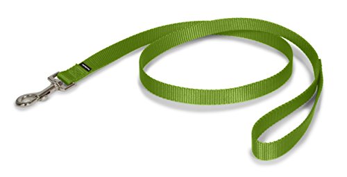PetSafe Leash, 3/4