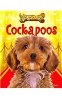 Cockapoos (Designer Dogs)