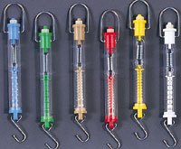 

Dual-Calibration Spring Scale - 1,000 g/10 N