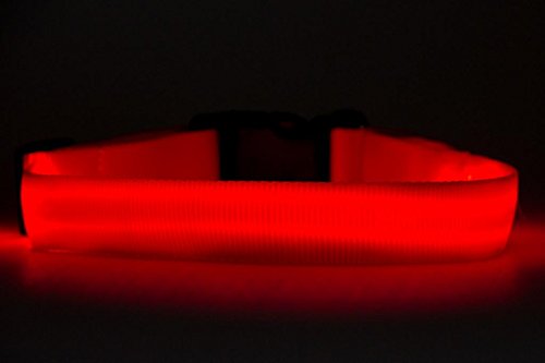 Great-Dealz Brand LED dog Collar to Keep Your Dog Safe - - Flashing Dog Collar with Extra Batteries - Your Best Friend Deserves Safe Night Walks