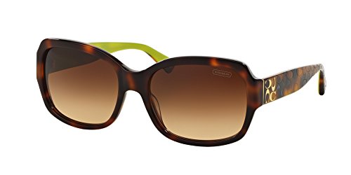 Coach HC8001 Sunglasses