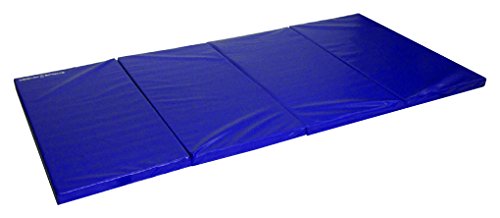 Algopix Similar Product 17 - Seismic Sports  SSM4102RB  Blue