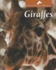 Giraffes