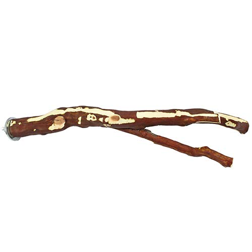 Algopix Similar Product 16 - Exotic Nutrition Manzanita Branch Thin