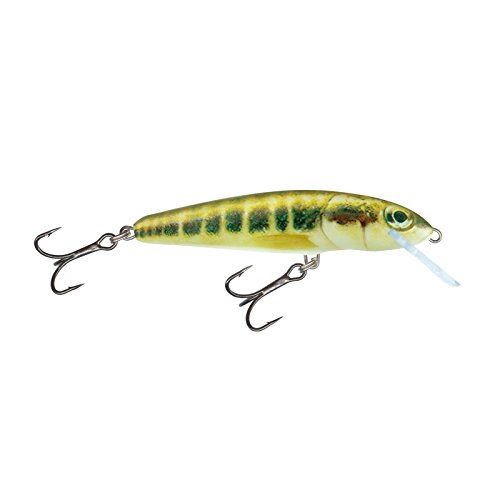 Algopix Similar Product 7 - Salmo Minnow Lure Crankbait M Minnow