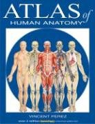 Atlas Of Human Anatomy (Quickstudy Books) by Inc. BarCharts