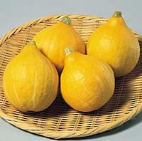 コリンキー[南瓜]【タネ】小袋