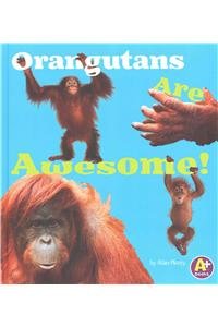 Orangutans Are Awesome!