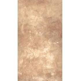 Earth Canvas Background 9'x20'