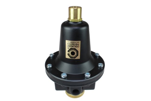 

Coilhose Pneumatics 8804KL Heavy Duty Series Regulator, 1/2-Inch Pipe Size, Tamperproof, with Low Pressure Spring (0-50 PSI)