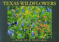 Postcard-Texas Wildflowers