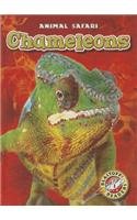 Chameleons by Kari Schuetz