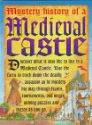 Mystery History of a Medieval Castle by Jim Pipe