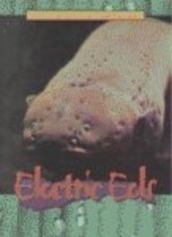 Electric Eels (Animals of the Rain Forest)