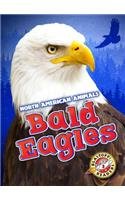 Bald Eagles by Chris Bowman